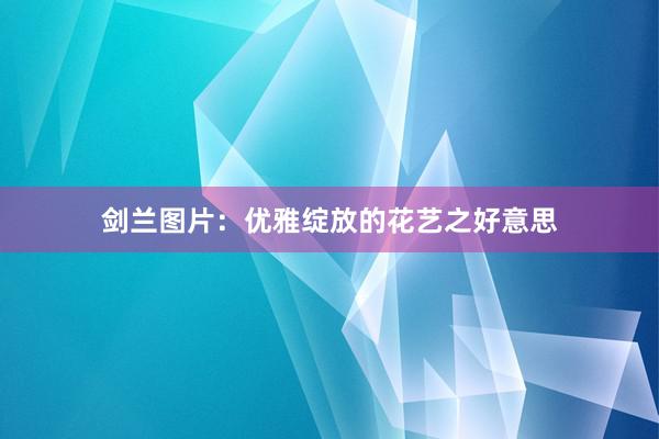 剑兰图片：优雅绽放的花艺之好意思