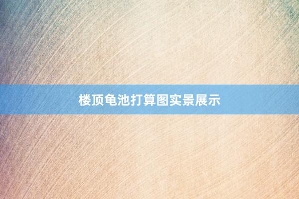楼顶龟池打算图实景展示