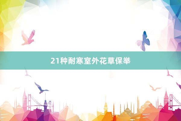 21种耐寒室外花草保举