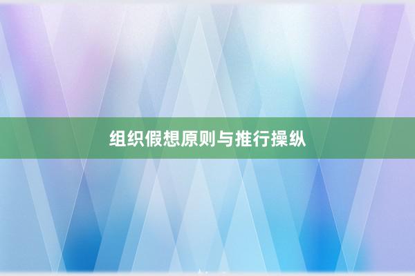 组织假想原则与推行操纵