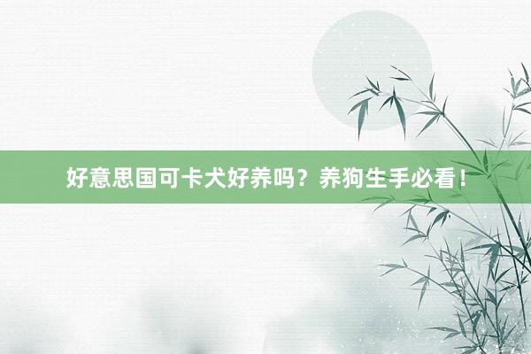 好意思国可卡犬好养吗？养狗生手必看！