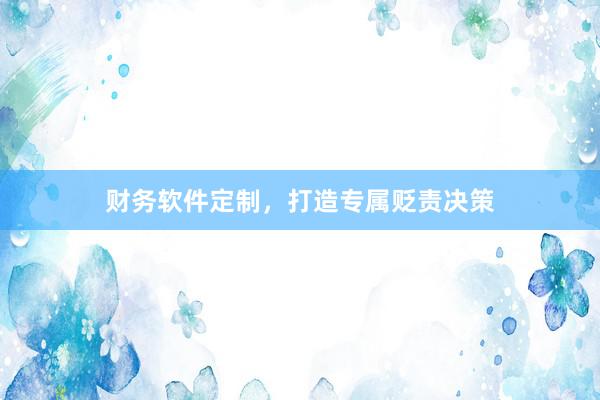 财务软件定制，打造专属贬责决策