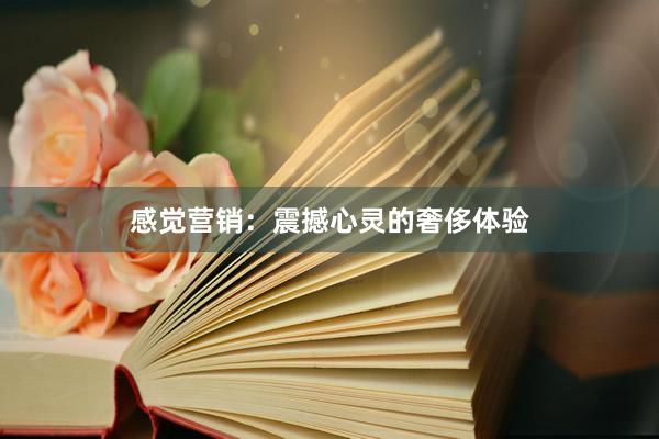 感觉营销：震撼心灵的奢侈体验